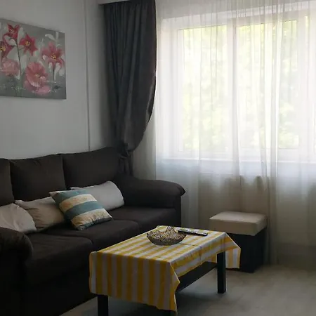 Welcome Home Apartament Brasov